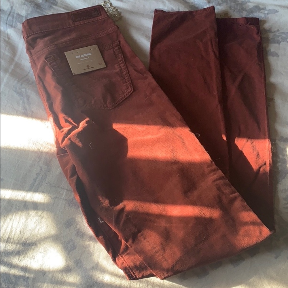 Adriano Goldschmied rust colored skinny pants